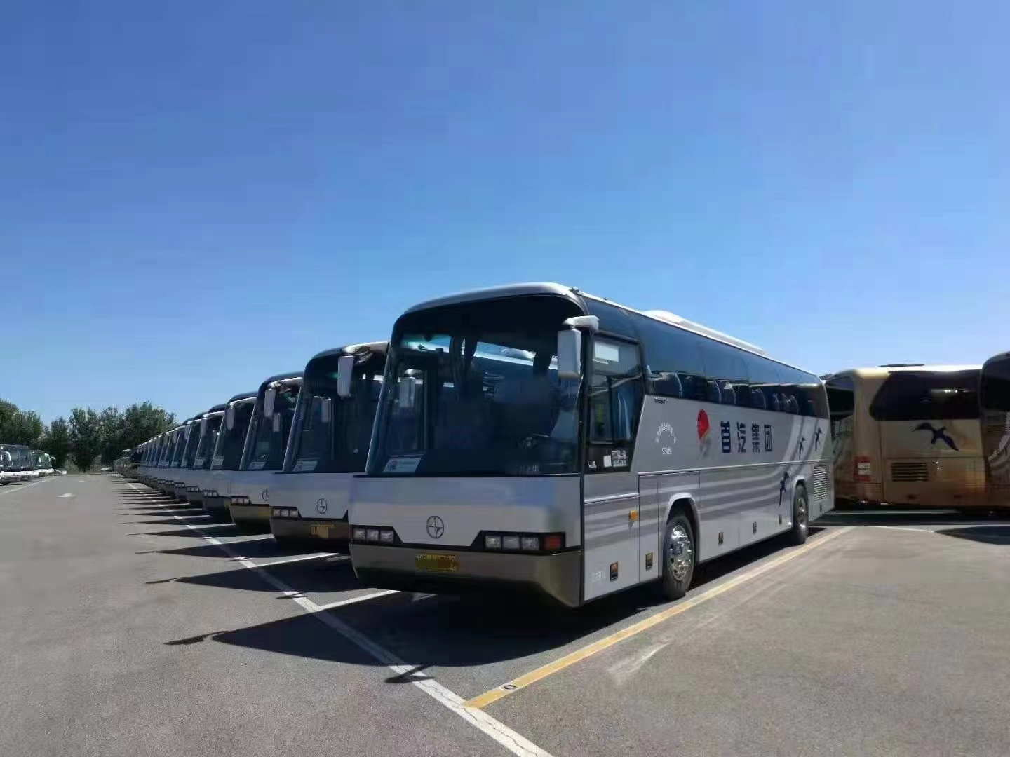 團建包車(拓展/紅色教育基地)