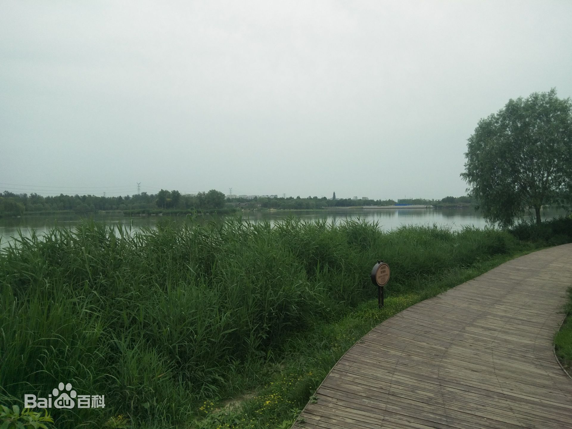 南海子公園租車指南.租車價格.租車電話